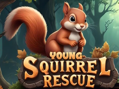 Гульня Young Squirrel Rescue