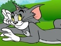 Гульня Tom and Jerry ATV Adventure