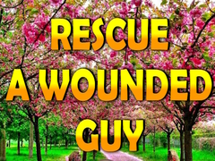 Гульня Rescue A Wounded Guy