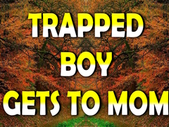 Гульня Trapped Boy Gets To Mom
