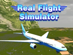 Гульня Real Flight Simulator 