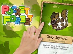 Гульня Pocket Forest
