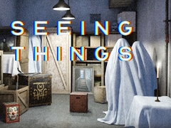 Гульня Seeing Things