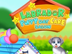 Гульня Labrador Puppy Daycare Salon