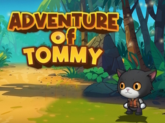 Гульня Advanture Of Tommy