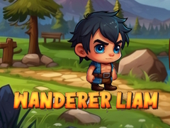 Гульня Wanderer Liam