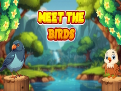 Гульня Meet The Birds 