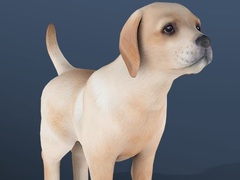 Гульня IDLE Pet