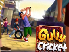 Гульня Gully Cricket