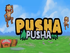 Гульня Pusha Pusha
