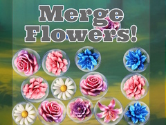 Гульня Merge Flowers!