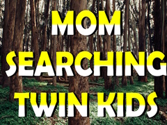 Гульня Mom Searching Twin Kids