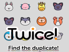 Гульня Twice! Find the Duplicate!
