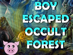 Гульня Boy Escaped Occult Forest