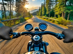 Гульня Motorcycle Racer: Road Mayhem