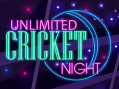 Гульня Unlimited Cricket Night