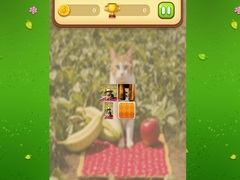 Гульня Farm Cat Memory Match
