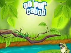 Гульня Colour Catch