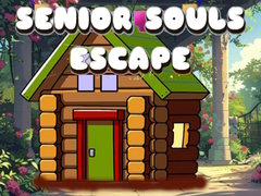 Гульня Senior Souls Escape