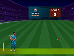Гульня Cricket Night 2
