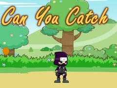Гульня Can You Catch