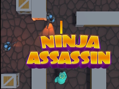 Гульня Ninja Assassin
