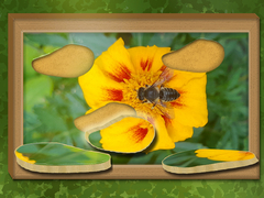 Гульня Find & Restore: Hidden Puzzle