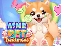 Гульня ASMR Pet Treatment