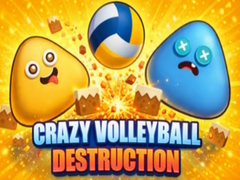 Гульня Crazy Volleyball Destruction
