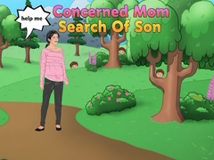 Гульня Concerned Mom Search Of Son