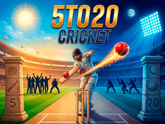 Гульня 5TO20 Cricket