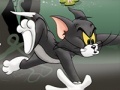 Гульня Tom And Jerry Chase In Marsh