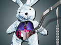 Гульня Save The Bunny