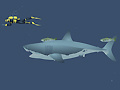 Гульня Mad Shark