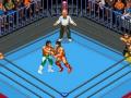 Реслинг wwe гульні. Гуляць у гульні реслинг wwe