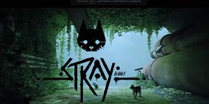 Stray 