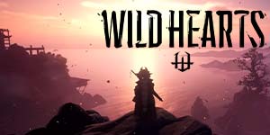 Wild Hearts 