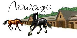 Лоwади 